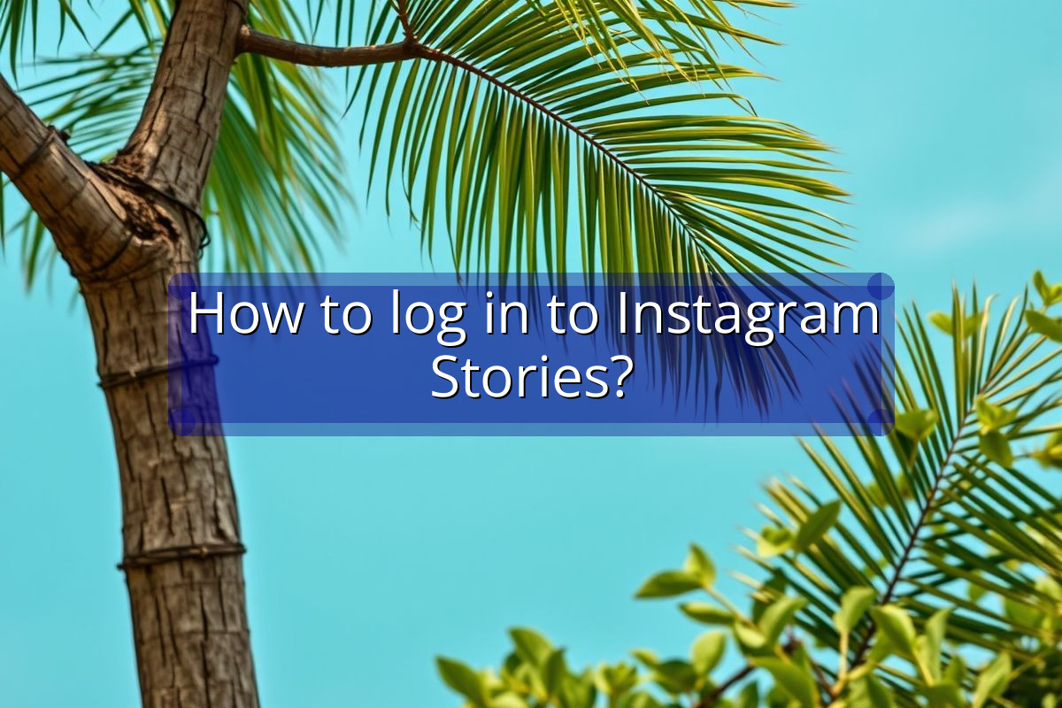 How to log in to Instagram Stories?
