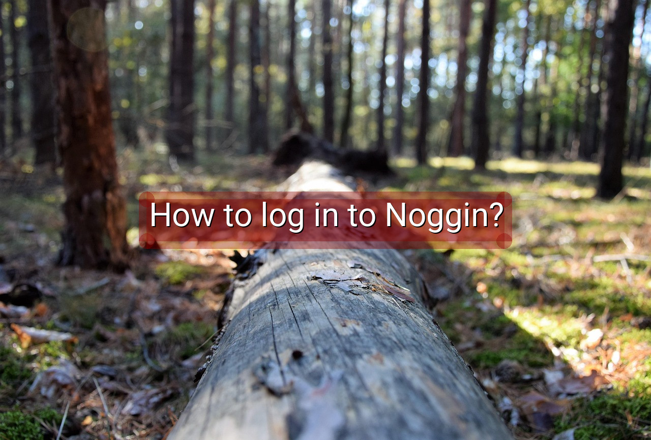 How to log in to Noggin?