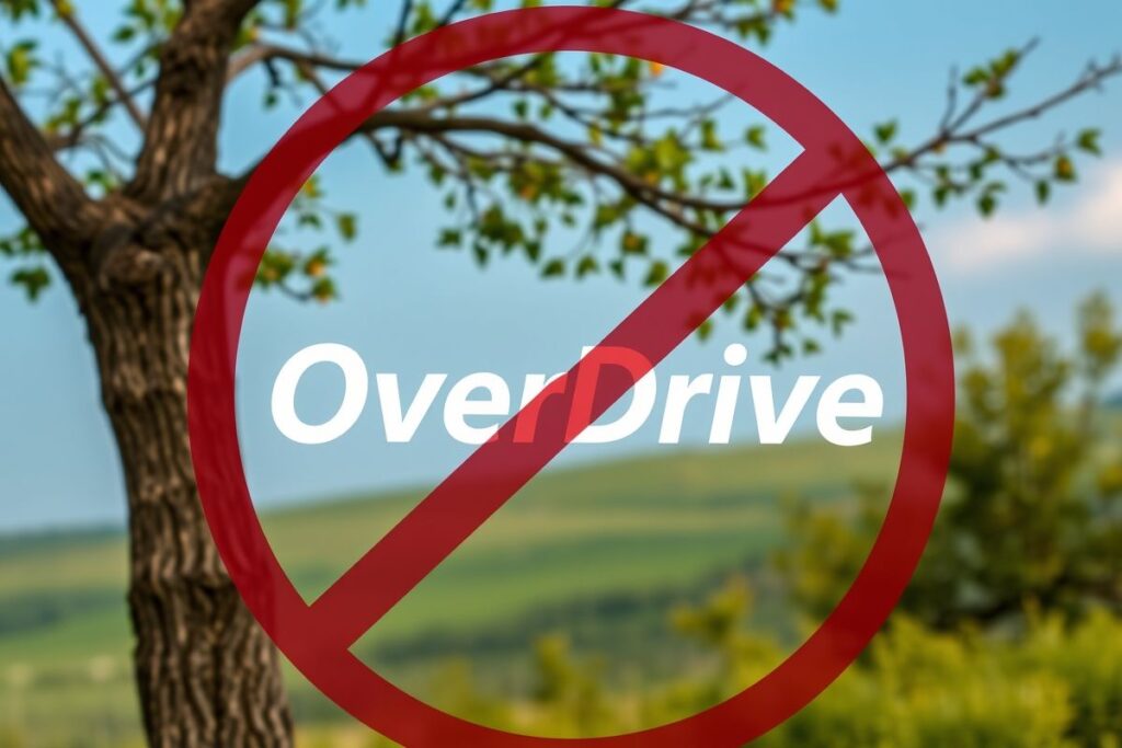 How to log in to OverDrive? How to log in to OverDrive?