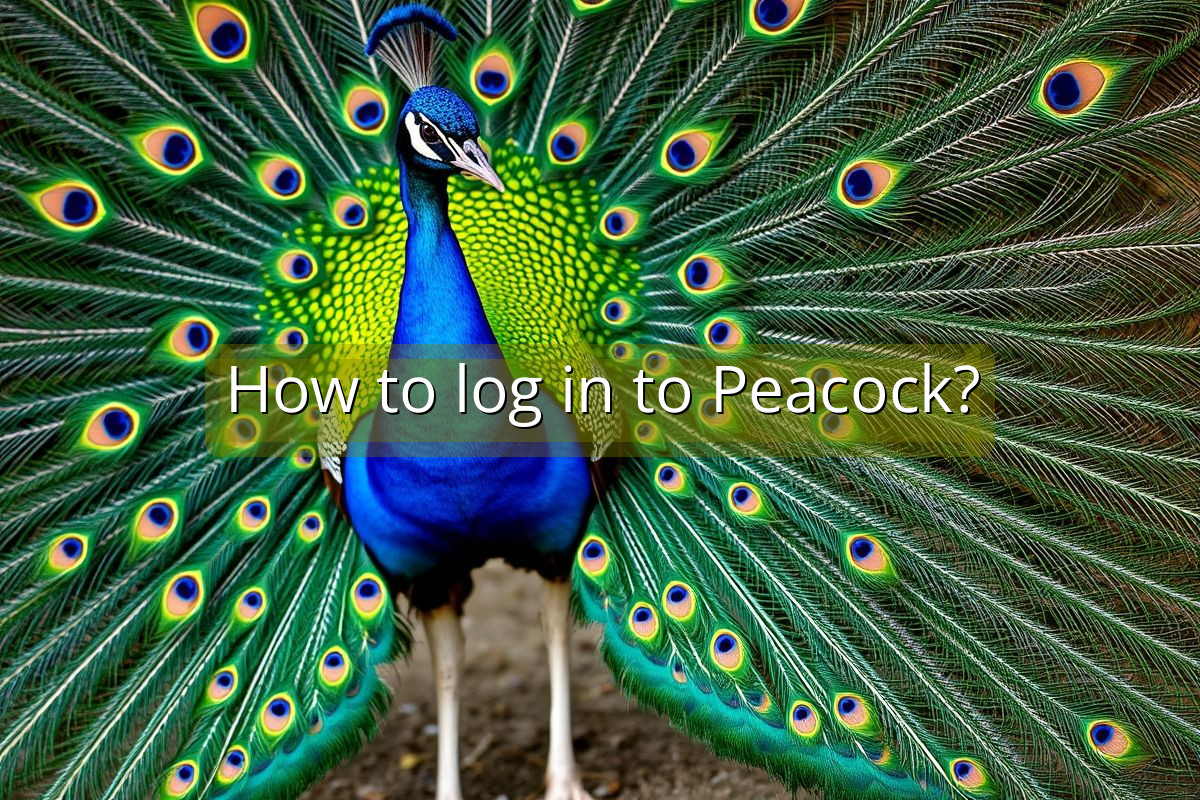 How to log in to Peacock?