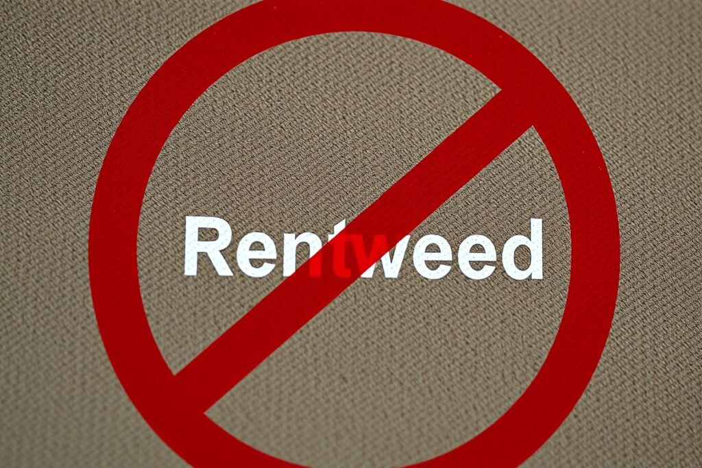 How to log in to Reddit Feed?